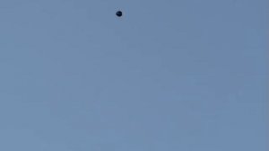 ГОЛУБИ ДОНБАССА.  Николаевские.