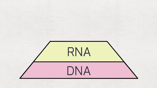 The Chromosomal Theory of Inheritance S1E4 смотреть онлайн