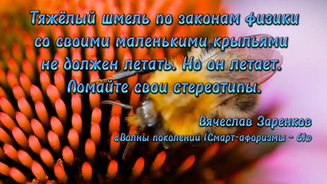 Афоризмы Вячеслава Заренкова Афоризм 10 смотреть онлайн