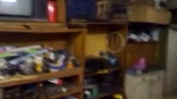 питюня гатово