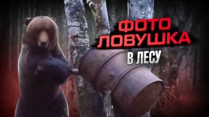 Медведи у привады! Фотоловушка в лесу! #фотоловушка