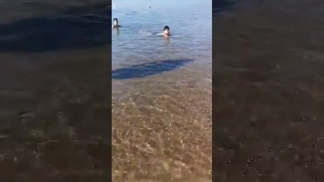 Miracle Resort. Antalya 30.09.19 смотреть онлайн