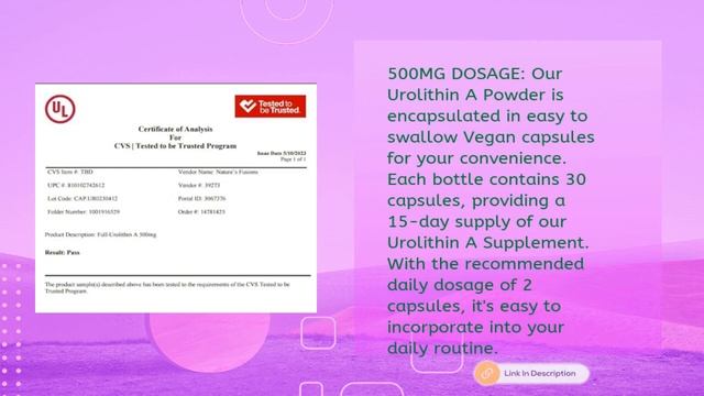 Unlocking Longevity: Best Urolithin A Supplements смотреть онлайн