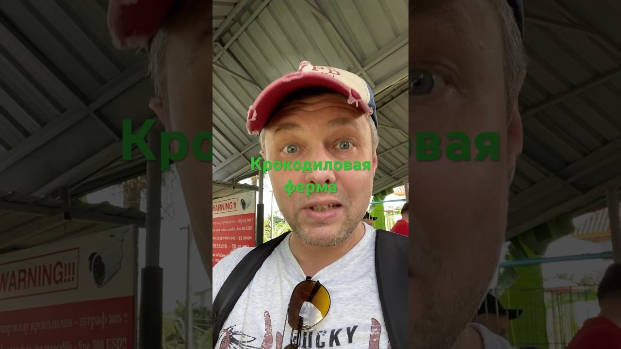Крокодиловая ферма на Пхукете #ешсереж #Ешсережвтае #ежсереж #тайланд #пхукет смотреть онлайн