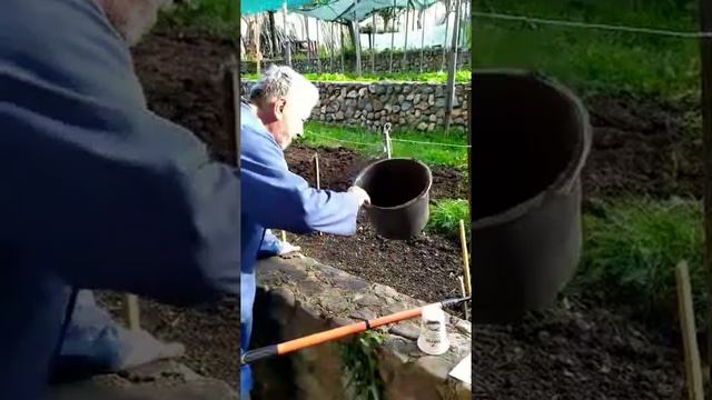 ЗЕЛЕ -КАК СЕ ПРАВИ РАЗСАД ЗА ЗЕЛЕ смотреть онлайн