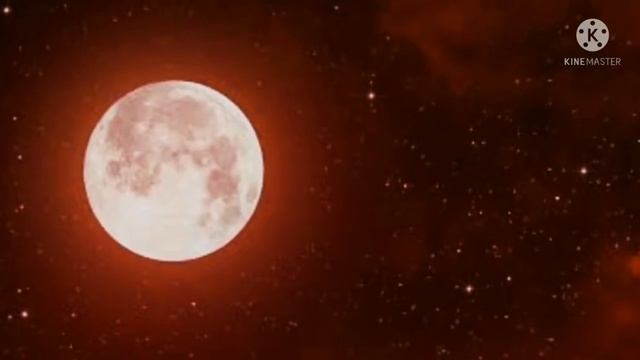 moonlight background // short video смотреть онлайн