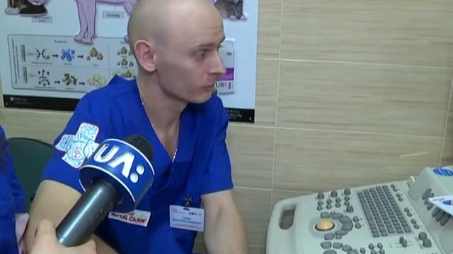 Сюжет: Міжнародний день котів смотреть онлайн