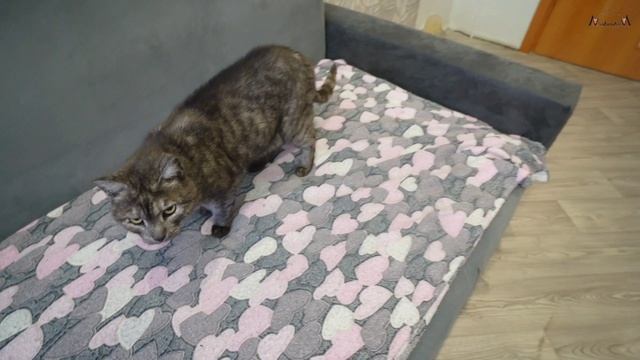 В продаже квартира в живописном районе города Нязепетровска смотреть онлайн