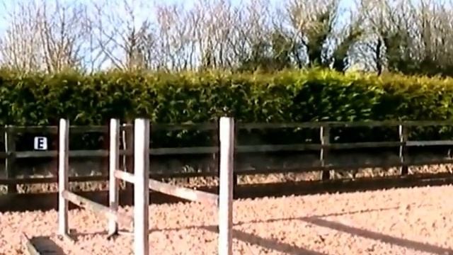 All 4 fun (alias Dot) Jumping смотреть онлайн