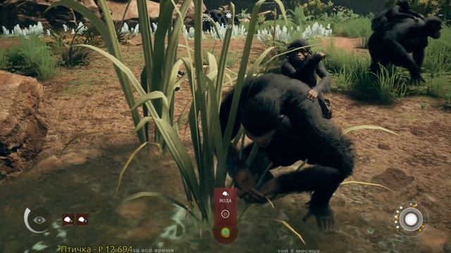 Ancestors: The Humankind Odyssey - Прохождение за одну эволюцию. часть 2