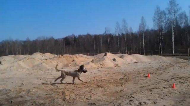 К 2 пуск 2 смотреть онлайн