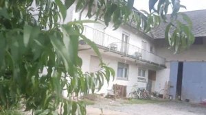 Будни доярочки.