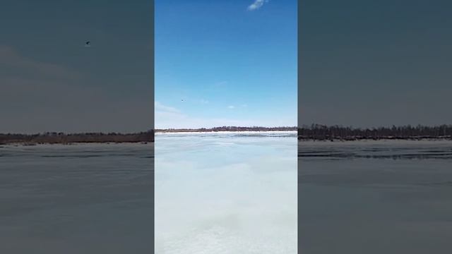 На рыбалке.Подкармливаю чаек и ворон. смотреть онлайн