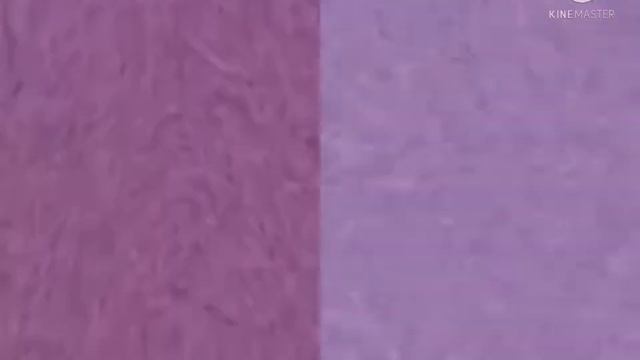 (1K SUBS SPECIAL) Klasky Csupo Effects (Sponsored By BP Logo Effects) Combined смотреть онлайн