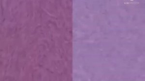 (1K SUBS SPECIAL) Klasky Csupo Effects (Sponsored By BP Logo Effects) Combined