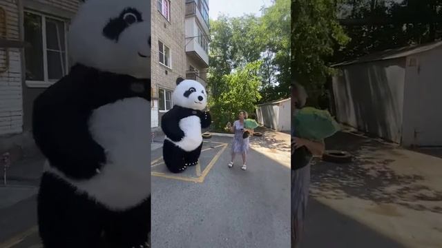 Дарите женщинам цветы #panda #umka #Амиго #Умка #dance #umkarostov #мишкаумка #амиго #медведь #танц смотреть онлайн