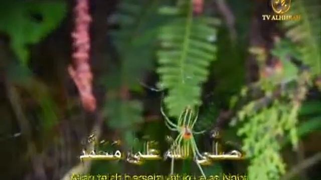 Selawat Badar Zulkarnain Mohd Noor смотреть онлайн
