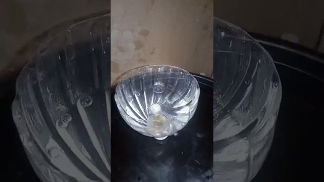 Гидрозатвор на бродильную емкость своими руками. смотреть онлайн