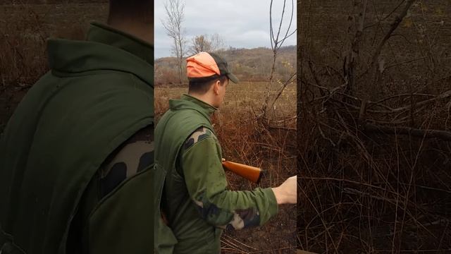 PIpo, Epanjel Breton, Lovačko udruženje Obrenovac, Novembar 2018.. смотреть онлайн