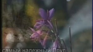 Хорошо мне с Тобою быть - Христианское караоке