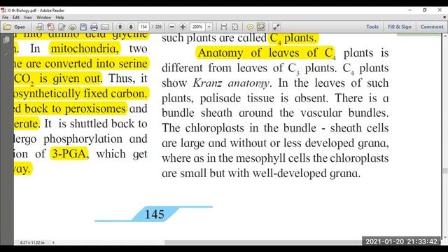 Standard Eleven XIth Biology Chapter 12 Photosynthesis Part 4 смотреть онлайн