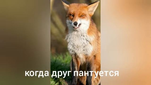 Топ 3 ситуации которые были у всех смотреть онлайн