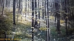 Ольга  Правдивая , прицепом Ковальчук Алла -лживые бабенки .