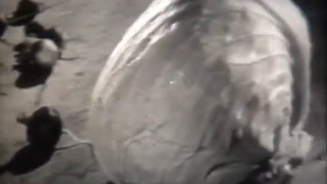 Наука и техника №23-1970 смотреть онлайн