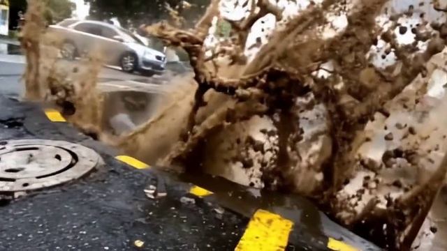 Vidu-general-4-2024-12-10T13_49_33Z