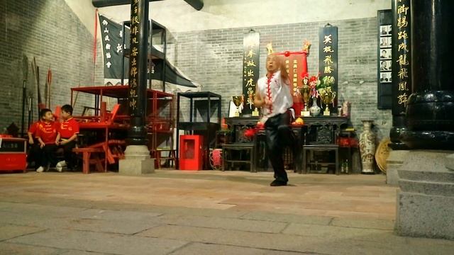 Sifu Chin - Choy Li Fut Five Animal Form смотреть онлайн