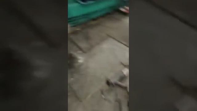 демонтаж акпп паджеро