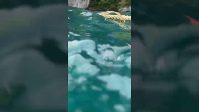 Тайланд. Ныряем под воду #ешсережвтае #ежсереж #ешсереж #тайланд смотреть онлайн