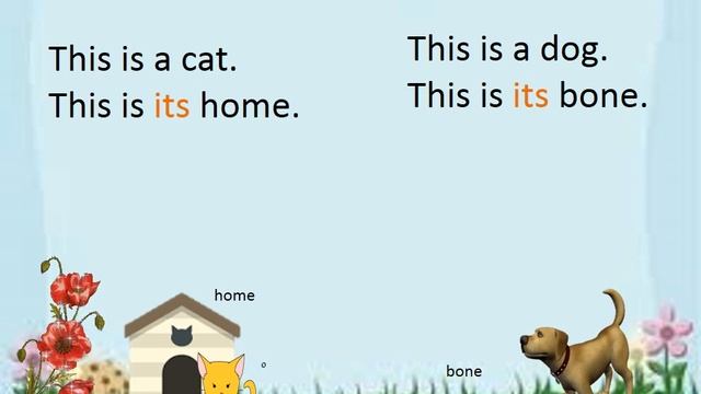 Possessive Adjectives:   My Your, His, Her, Its, Our, Your, Their