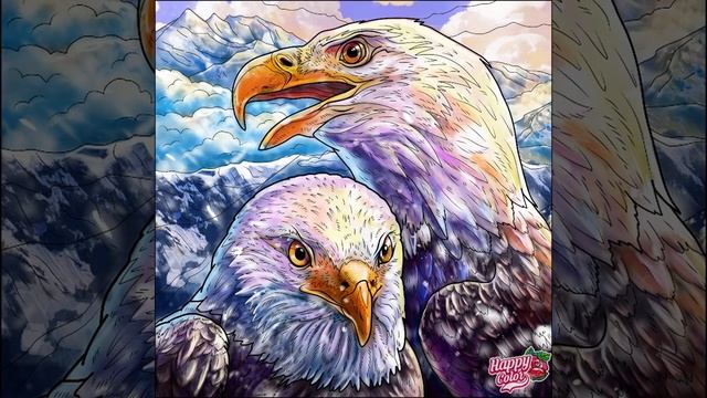 happy color 2 bald eagles, but only their heads 2 смотреть онлайн