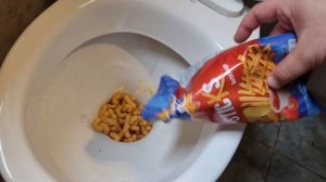 Will it Flush - Coca Cola, Fanta, Sprite, Plastic Balls, Eggs, Puppy, Candy, M&Ms, Skittles, Pool