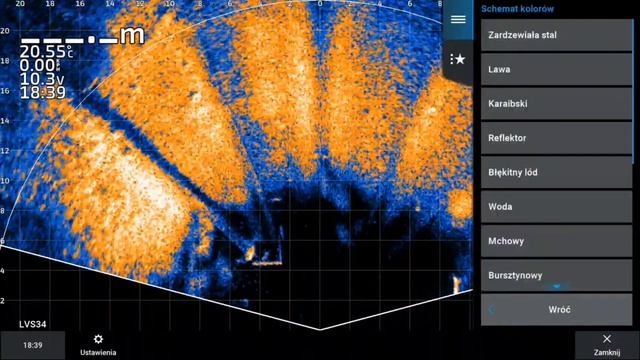 Ustawienia GARMIN Livescope Plus LVS34 W Trybie Perspective