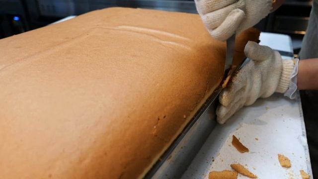 Taiwanese Food - GIANT CASTELLA CAKE Keki Modern Cakes New York City