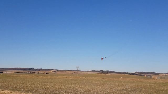 Patrick Schwarz | Mikado Glogo 690 SX | Kundenheli einstellen | rotor-service.at смотреть онлайн