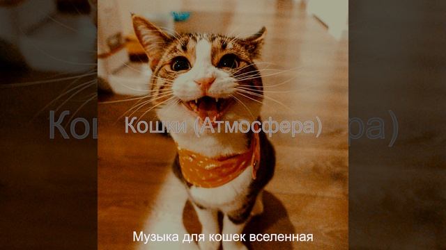 Звуки (Кошки) смотреть онлайн