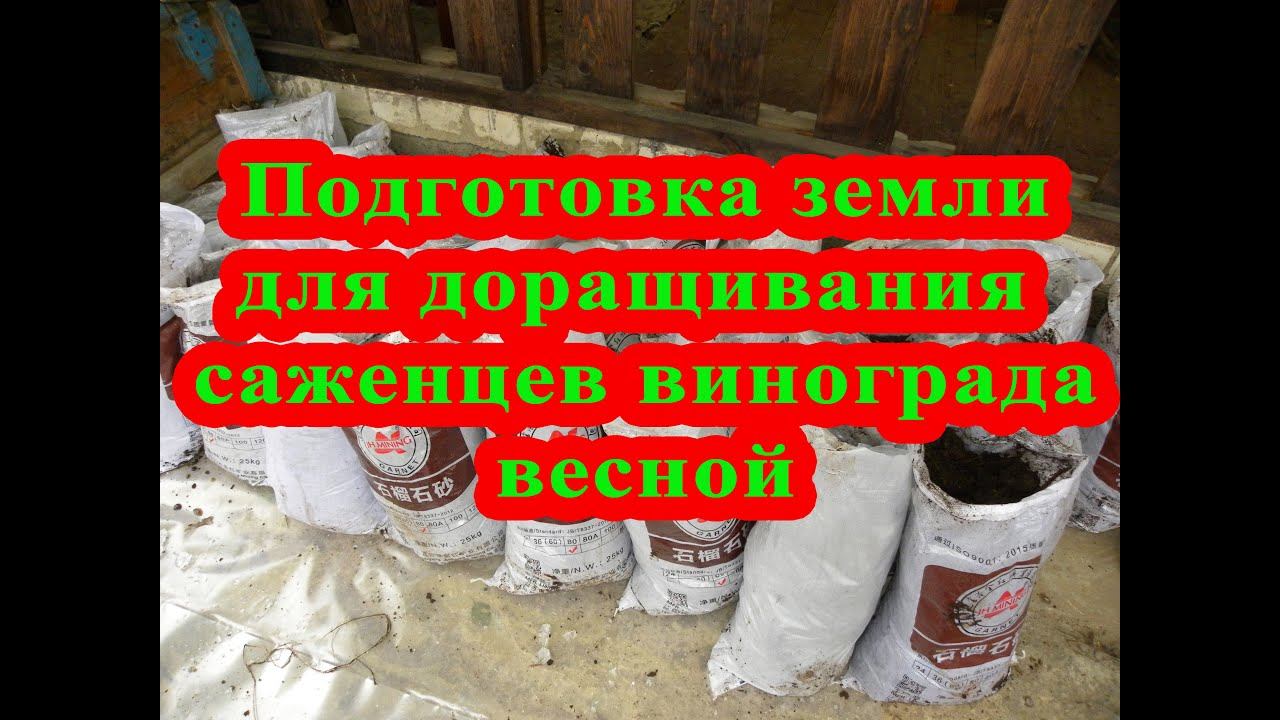 Подготовка земли для доращивания саженцев винограда весной/ Preparation Of Land Substrate For Grapes