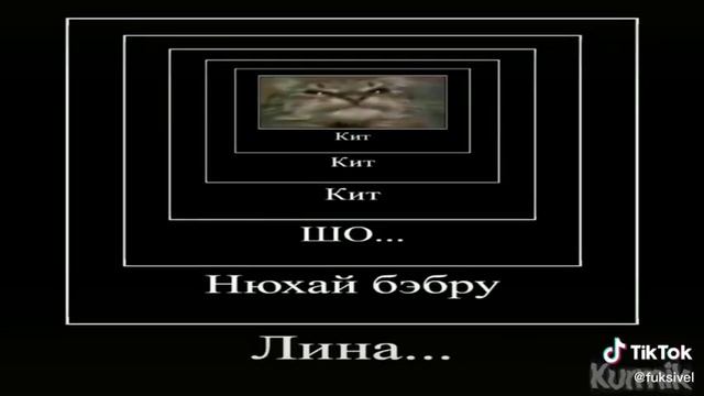 кiт ты маму мав - оригинал. смотреть онлайн