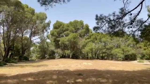 Тунис красота дикой природы   Tunisia