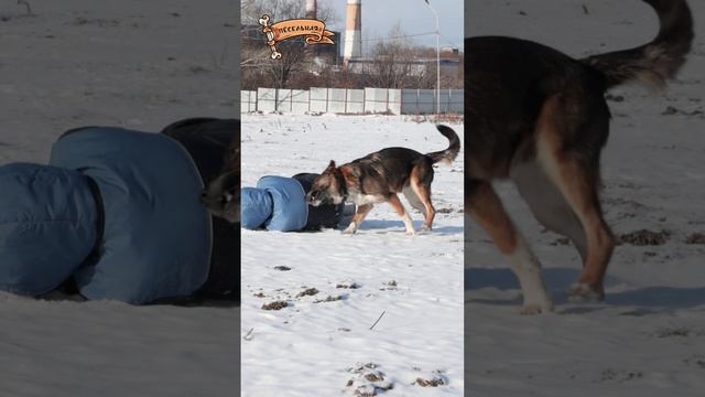 Натаааша, не лежи, труд облагораживает человека! смотреть онлайн