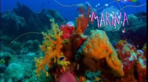 Зик и Шарко