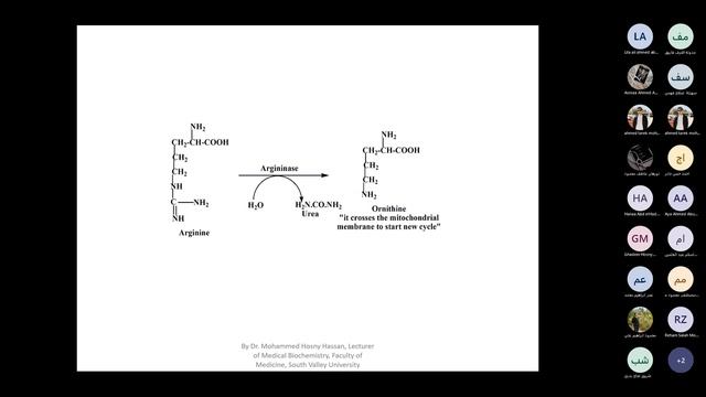 Lecture 25 Cell Biology and Funnction Biochemistry смотреть онлайн