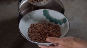 把春天吃进肚子里——帕贡菜【滇西小哥】