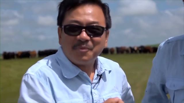 VAN SON 😊 Ký Sự CANADA | Công Nghệ Nuôi Bò Canada | Vân Sơn - Việt Thảo смотреть онлайн