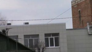 пермские голуби