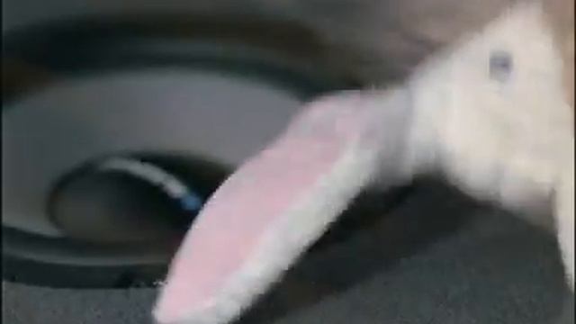 SUBWOOFERS BLAUPUNKT смотреть онлайн