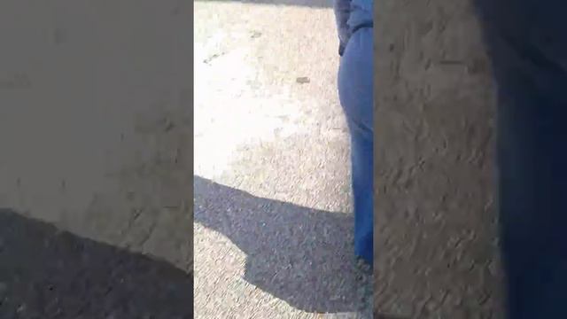 DEAD BIRD AND tour around the neighborhood!!!!!! :Chirsmas Aventures смотреть онлайн